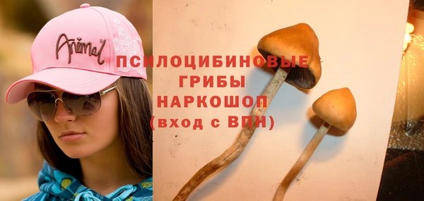 спайс Новодвинск