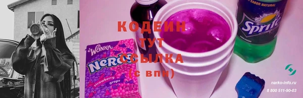 МДПВ Новозыбков