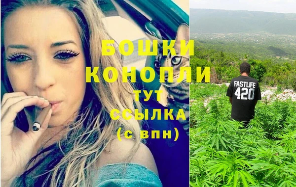 МДПВ Новозыбков